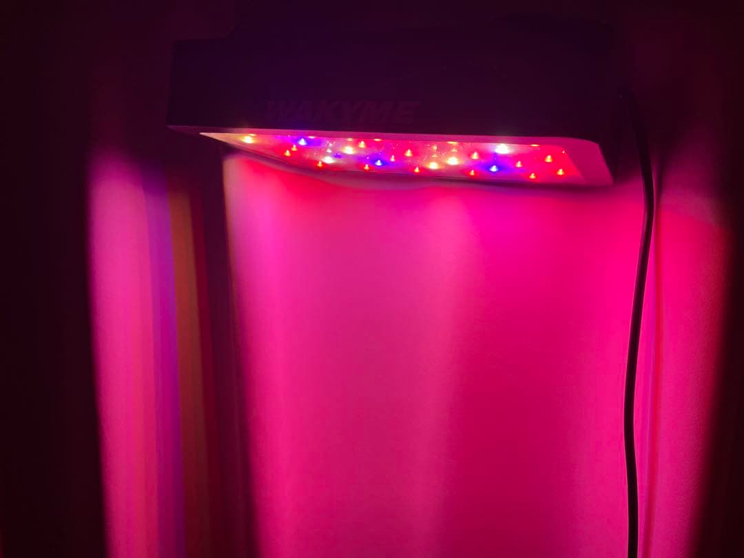 LED植物育成ライト 3個セット　値下げ