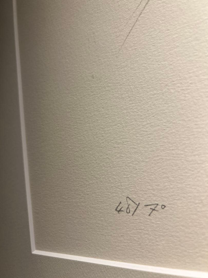 天野喜孝【天国への階段】希少