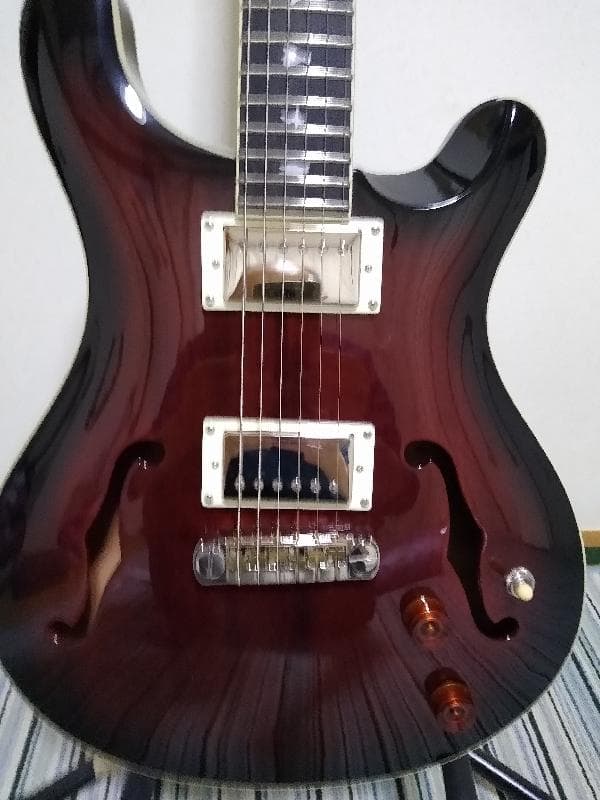 エレキギター セミアコ PRS SE