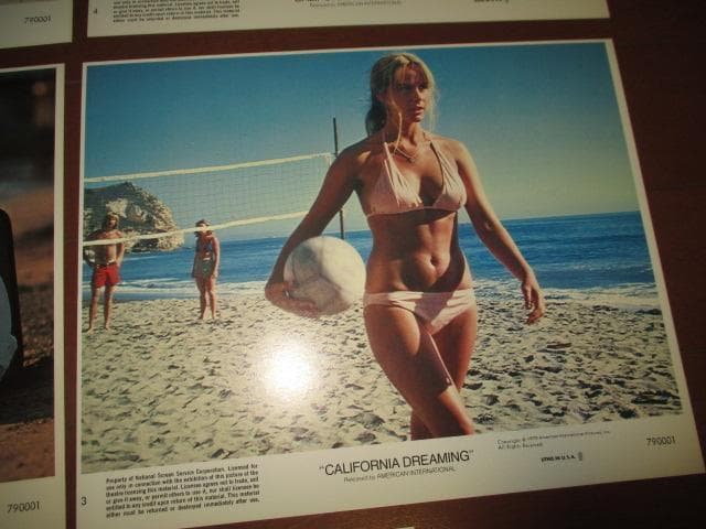 コレクション california dreaming (RARE!!lobby card!!)