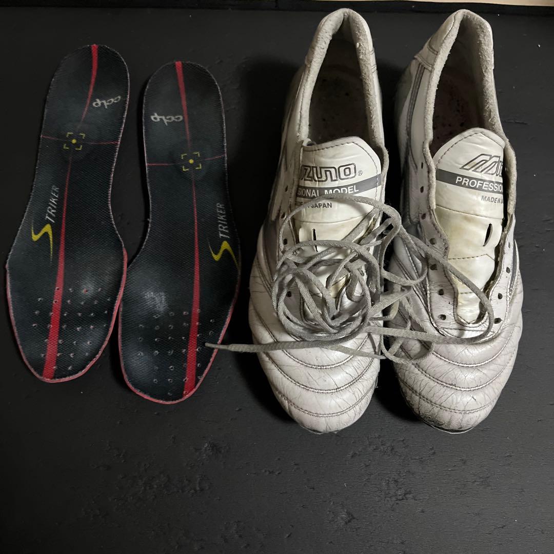 Mizuno モレリア DNA JAPAN