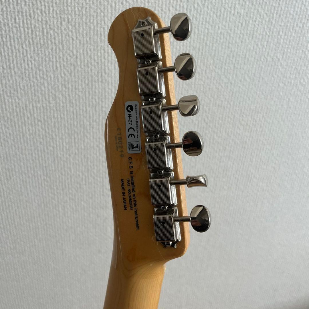 FGNフジゲン テレキャスターシンライン NTL 10M AHT - WB/01