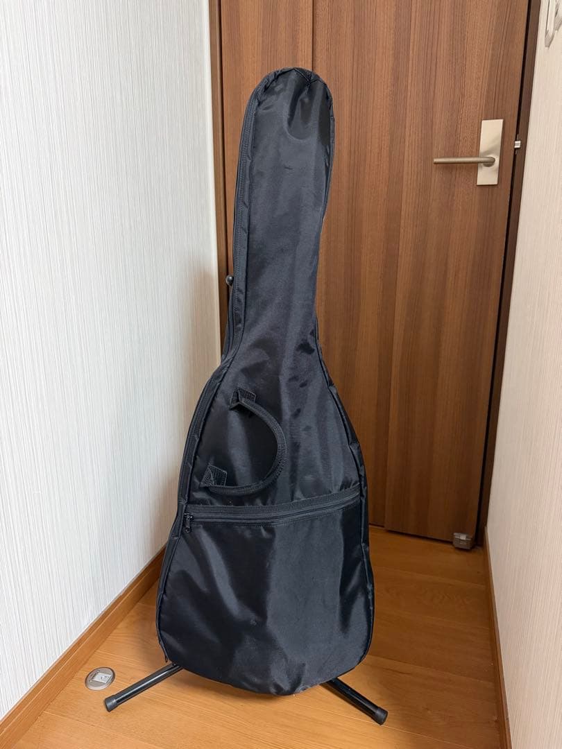 Grass Roots エレキギター 青