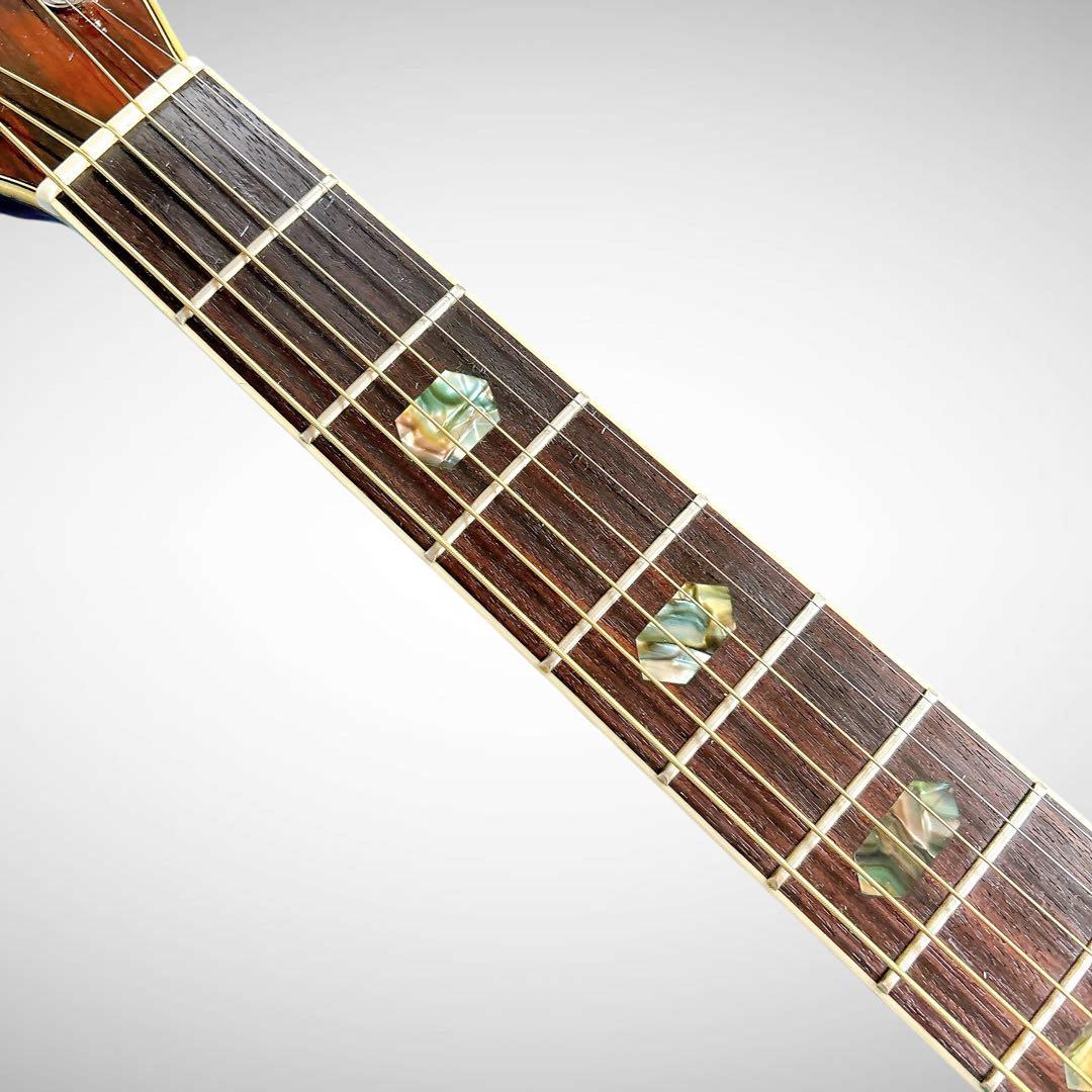 【ハードケース付】1970年代MORRIS W-40 3Pバック ハカランダ