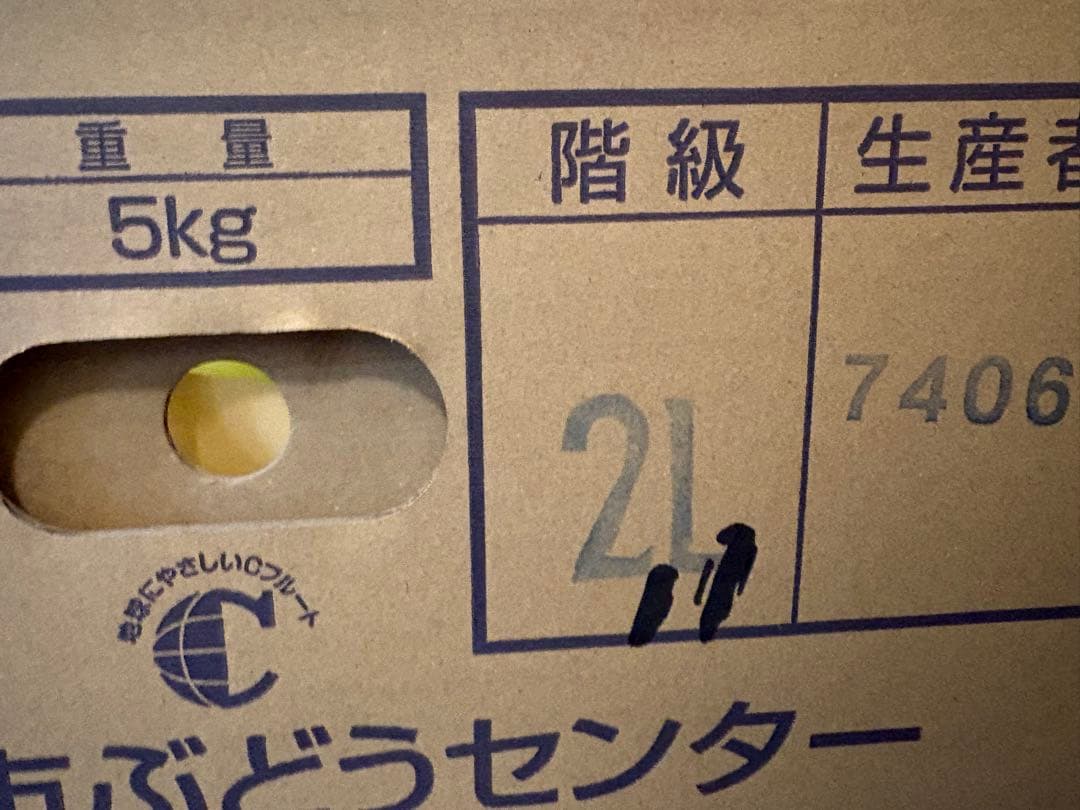 長野県産　シャインマスカット　11房セット　5kg