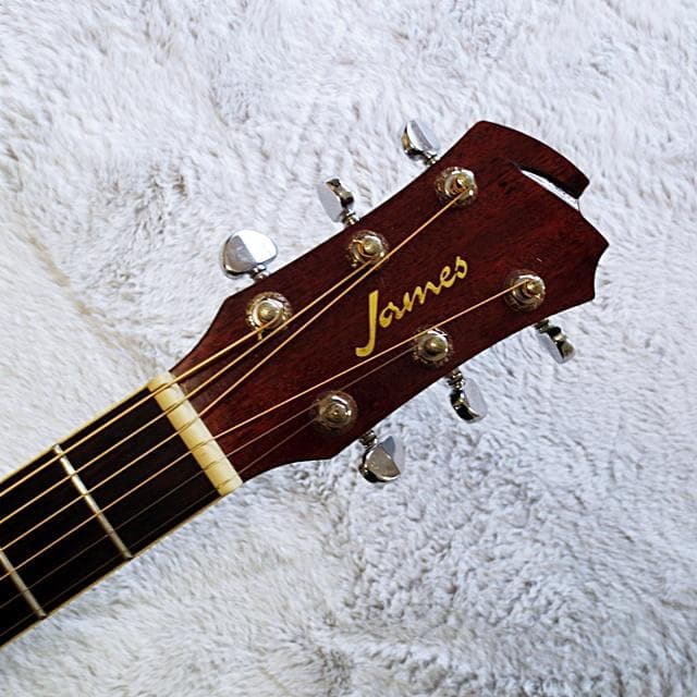 James ジェームス トップ単板アコースティックギター JF350TS