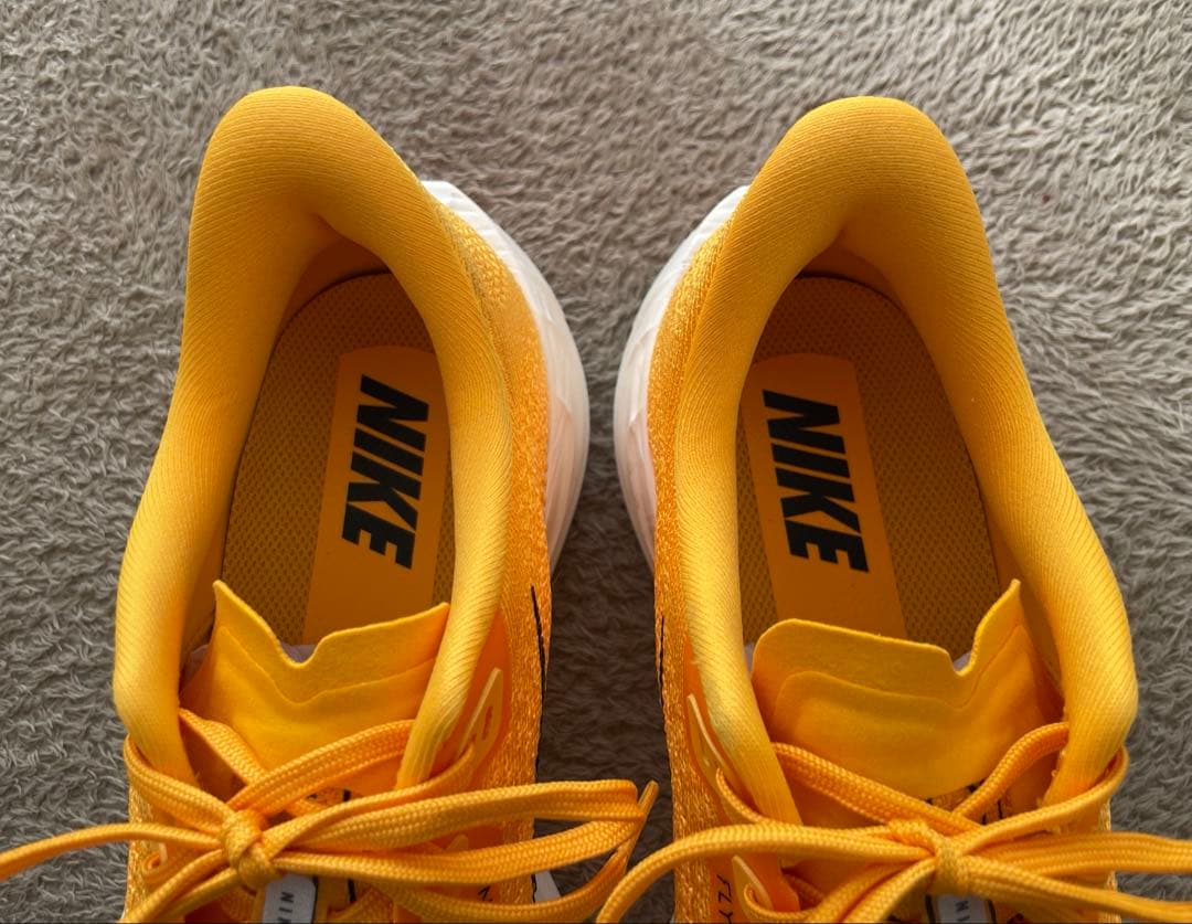 【美品】NIKE ペガサスプラス25.5cm