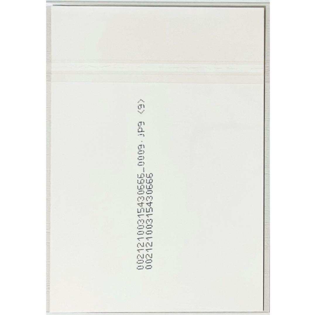 V系★BAROQUE【晃】FOOL'S MATE★ブロマイド★生写真★アー写②