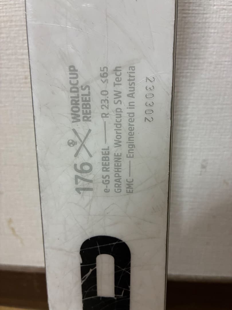 HEAD World Cup Rebels e.GS 176cm スキー板