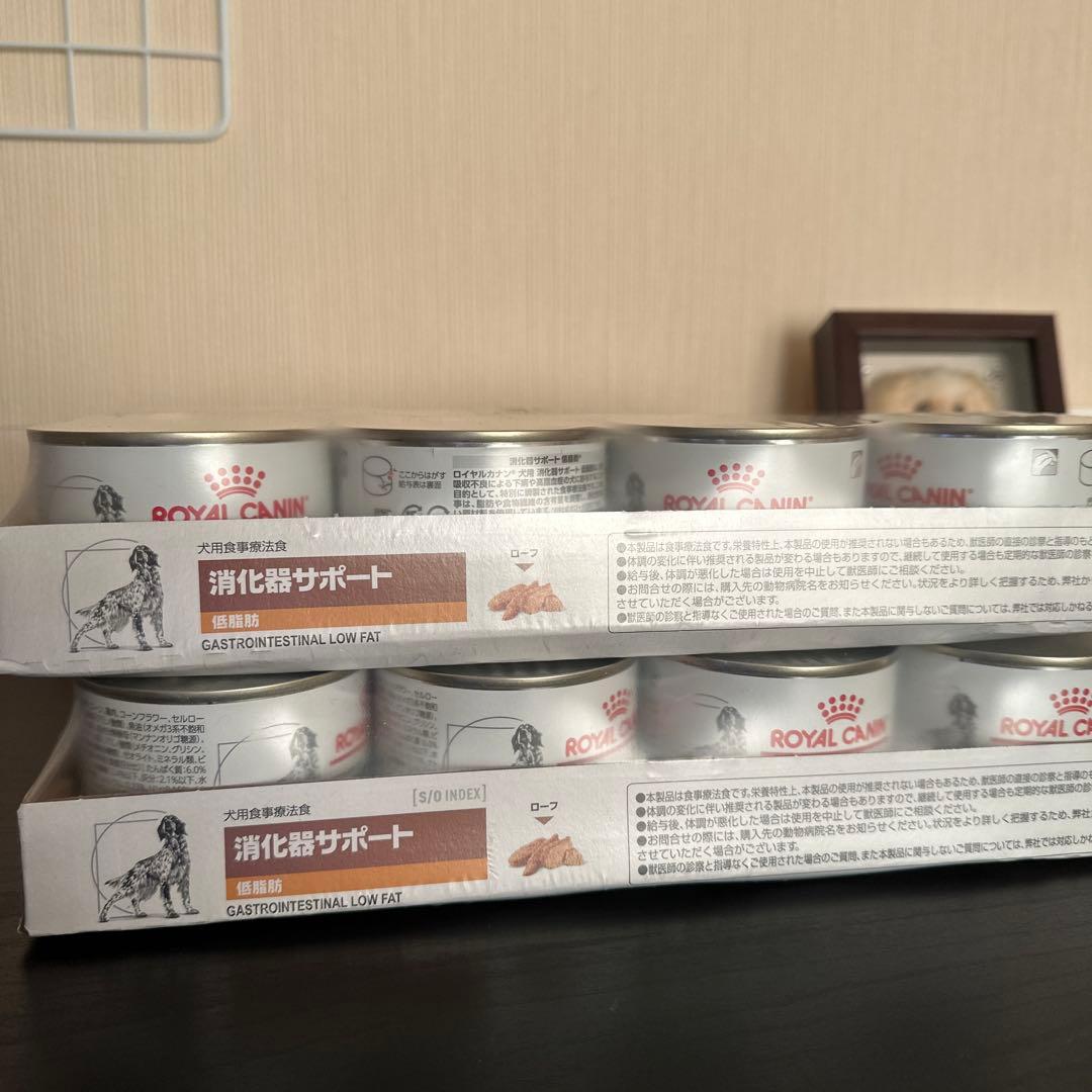  CANIN 消化器サポート 低脂肪 12缶2セット(1セット売可能)