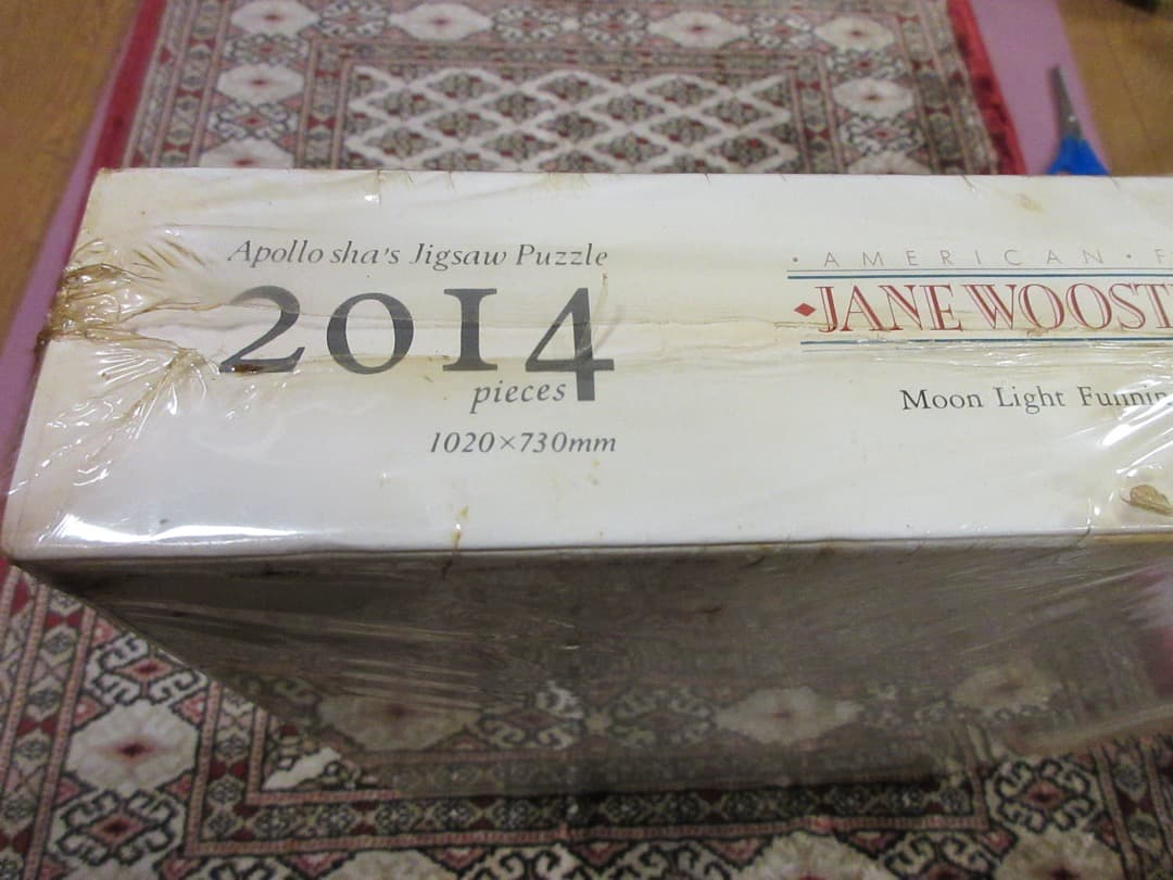 ジェーン・ウースター・スコット「ムーンライト ファニング」2014ピース