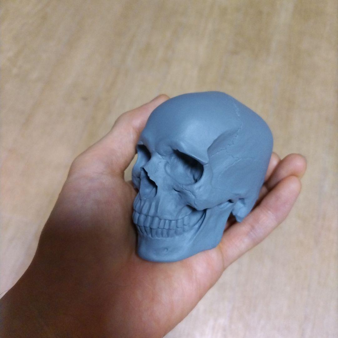 ドクロ＆ポリヘドロンマン　人体　フィギュア　頭蓋骨　美術　アナトミー