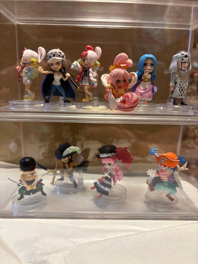 こうちゃん　ワンピの実　113体セット販売