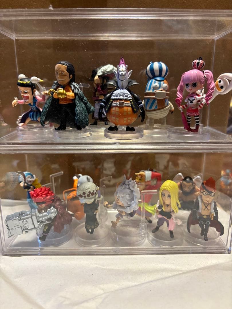 こうちゃん　ワンピの実　113体セット販売