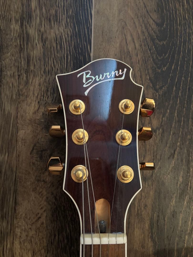 FERNANDES Burny MG165-S CS hideモデル