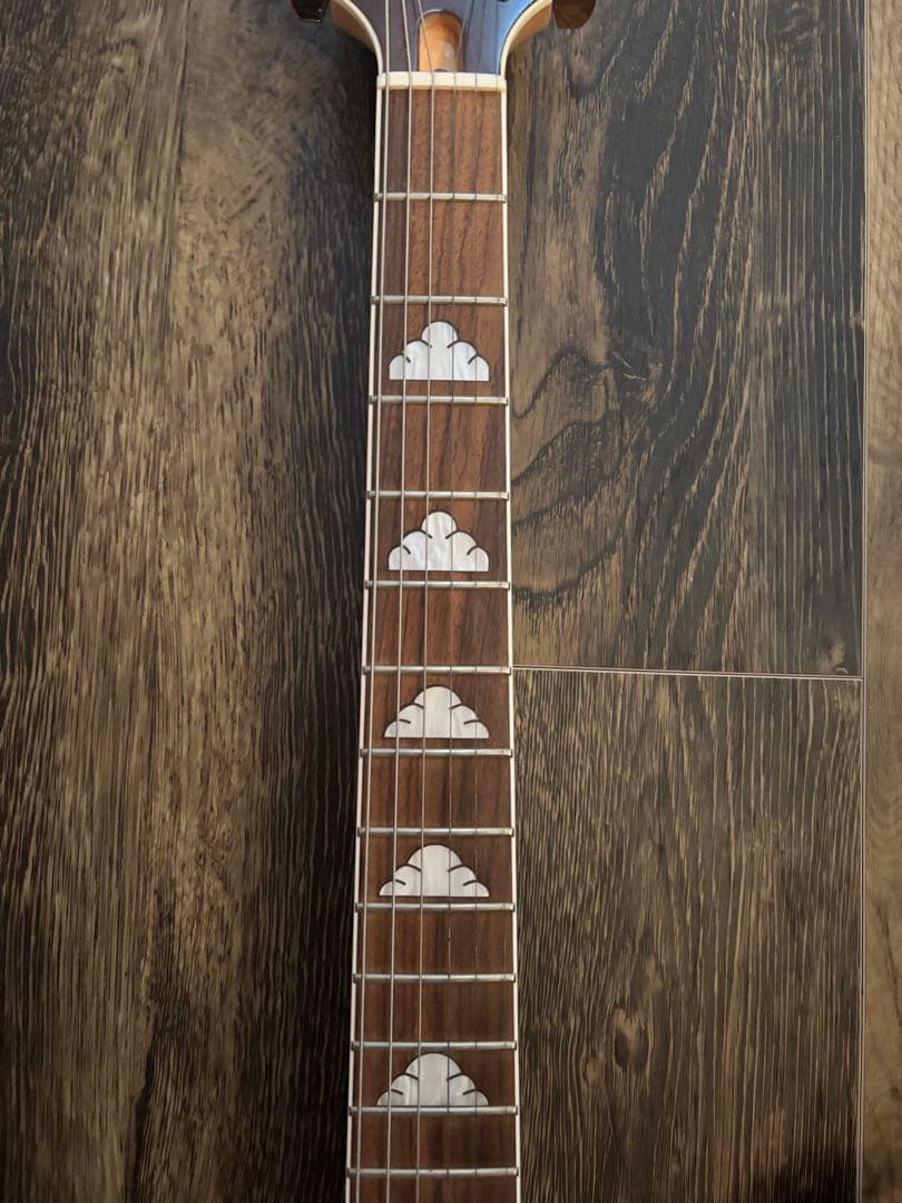 FERNANDES Burny MG165-S CS hideモデル