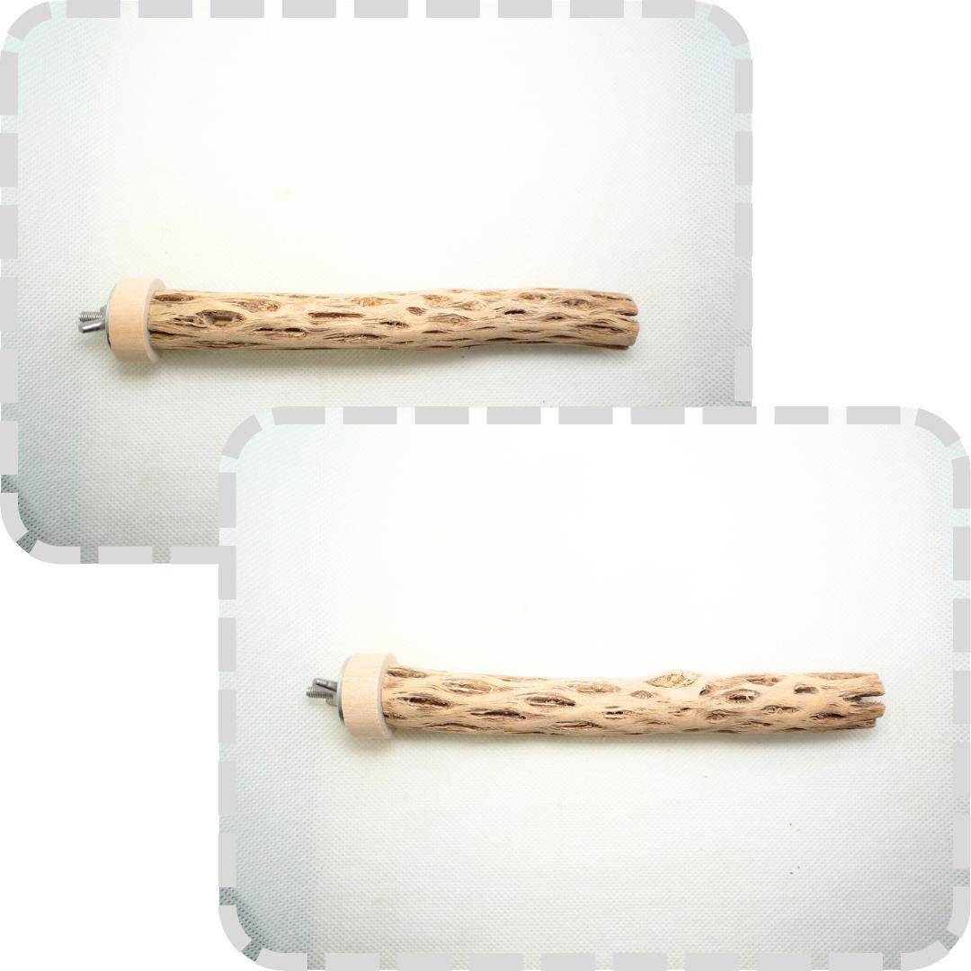 R@　おまとめ　カクタスパーチ　３本