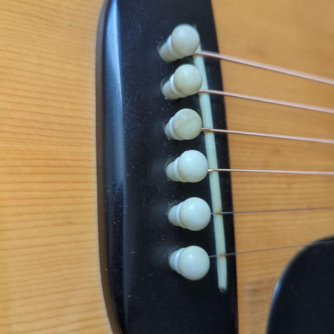 ギター TF MORRIS W50