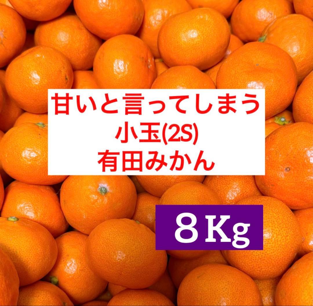 57)甘いと言ってしまう　小玉 有田みかん　和歌山県有田産　みかん　果物