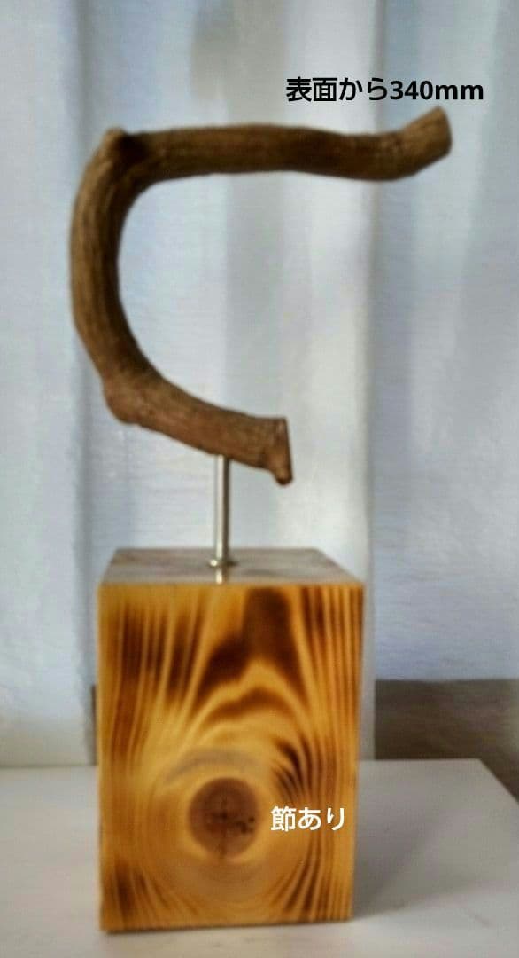 バードカービング　ホトトギス