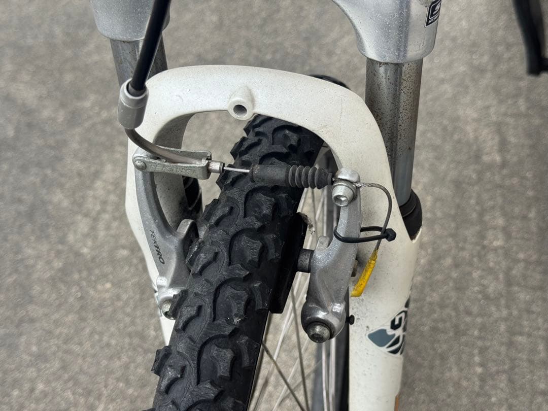 ルイガノ２４インチ（ヘルメット付き）