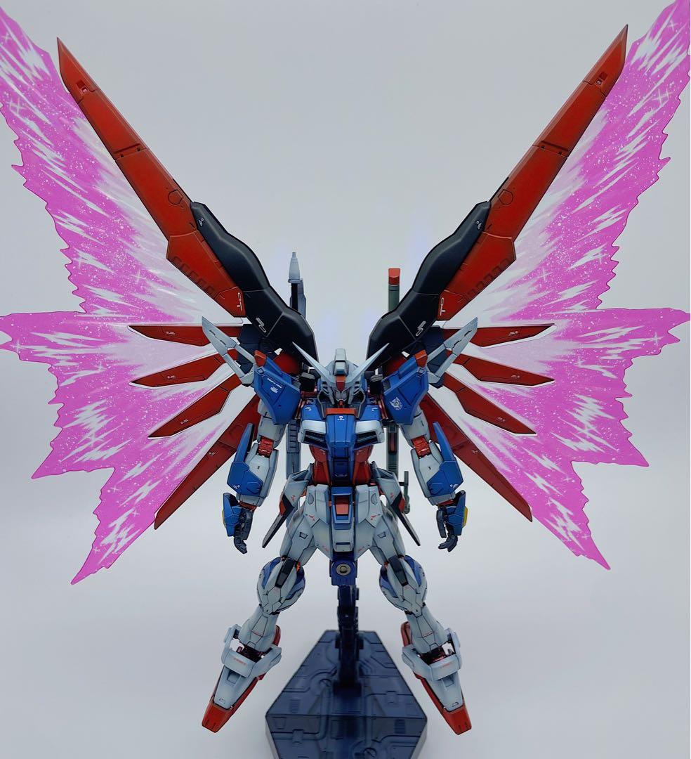 RGデスティニーガンダムSpecⅡ最終決戦イメージ 全塗装　“光の翼” セット