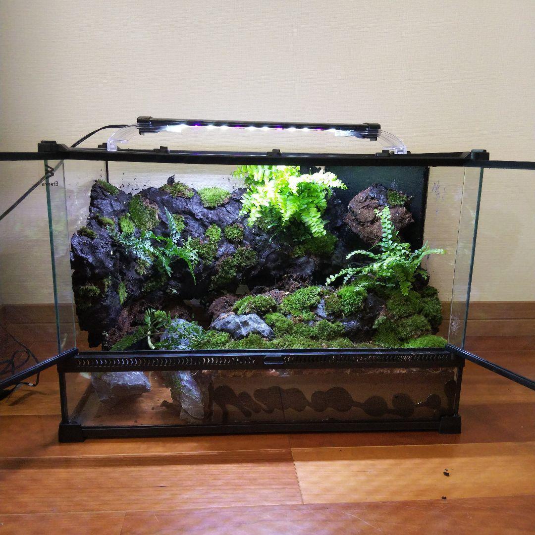 【受注生産】滝のあるアクアテラリウム　イモリウム　苔テラリウム　アクアテラリウム