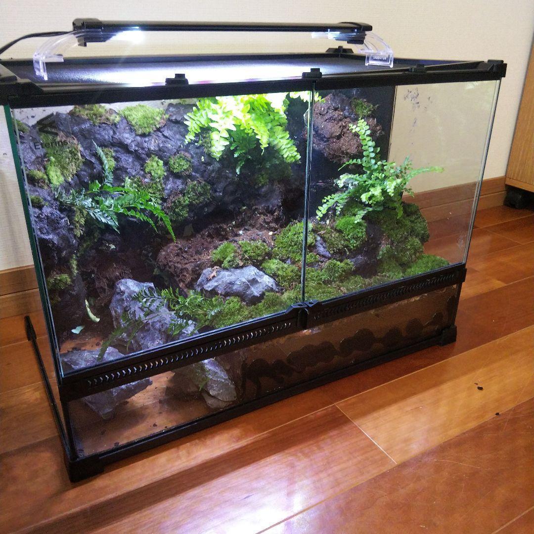 【受注生産】滝のあるアクアテラリウム　イモリウム　苔テラリウム　アクアテラリウム