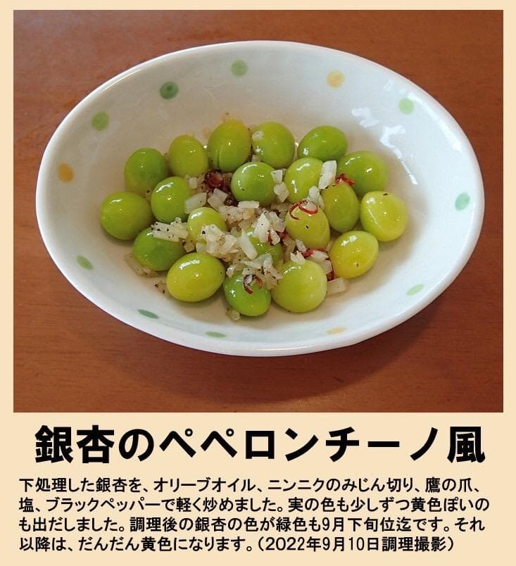 2025年新物 久寿 銀杏 ぎんなん 祖父江産 3L 3kg