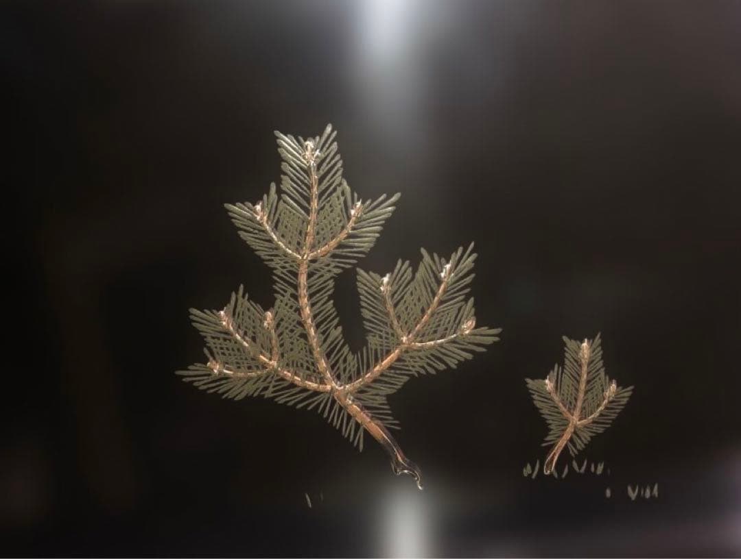 漆　蒔絵　お盆　アンティーク　梅と松