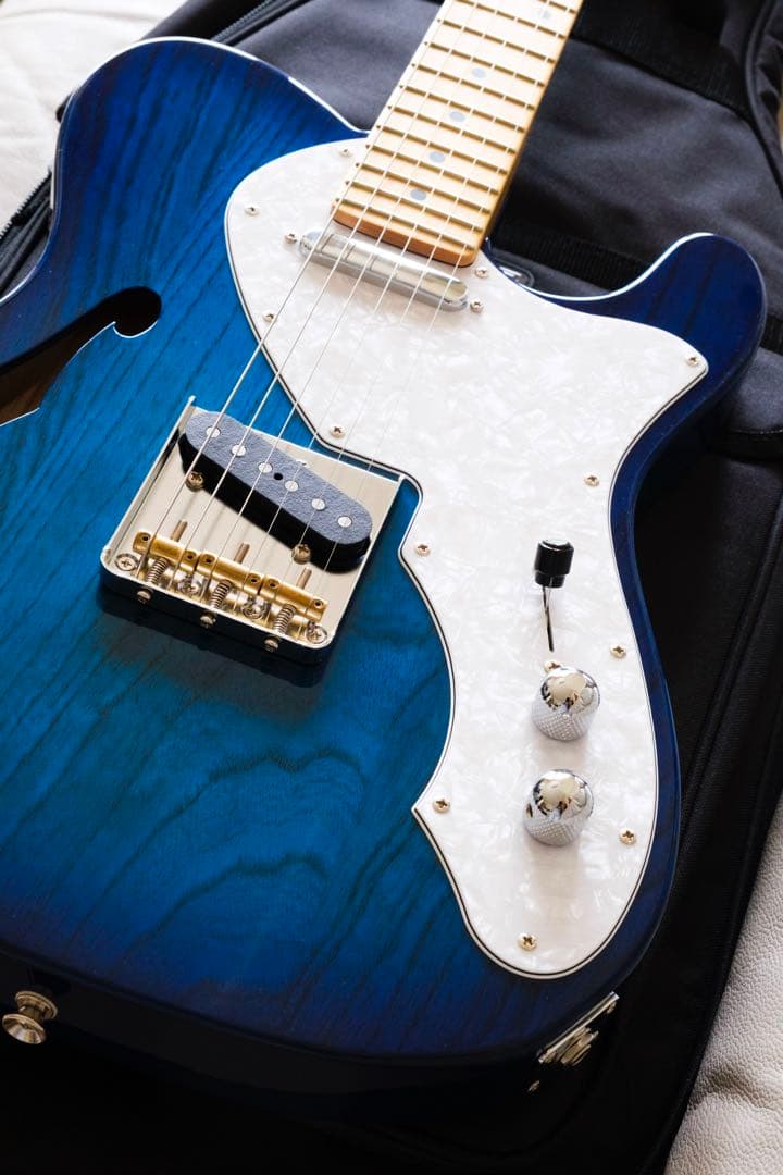 ギター FGN FUJIGEN NTE10MAH SBB Neo Classic