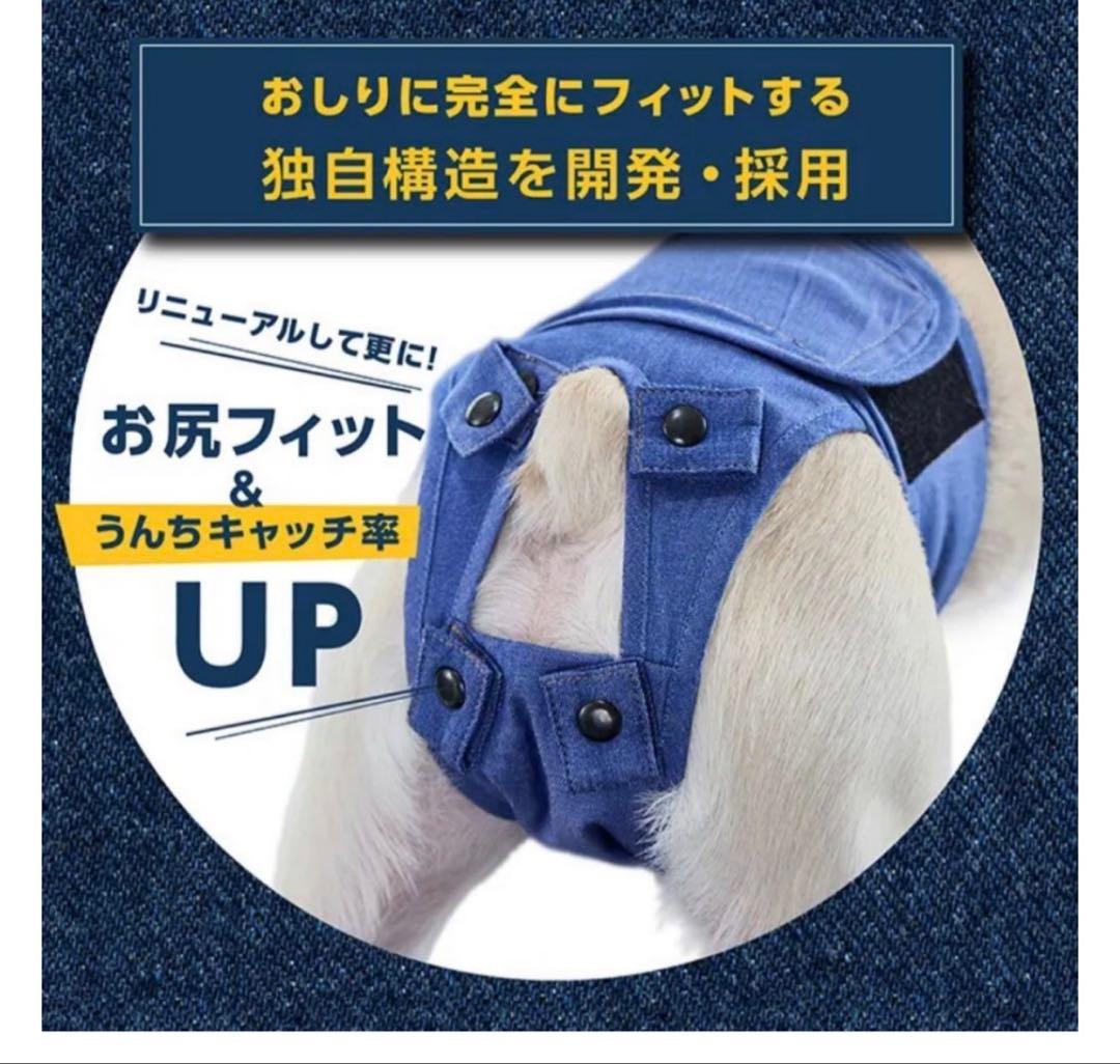 うんコロキャッチ XSサイズ　3枚セット