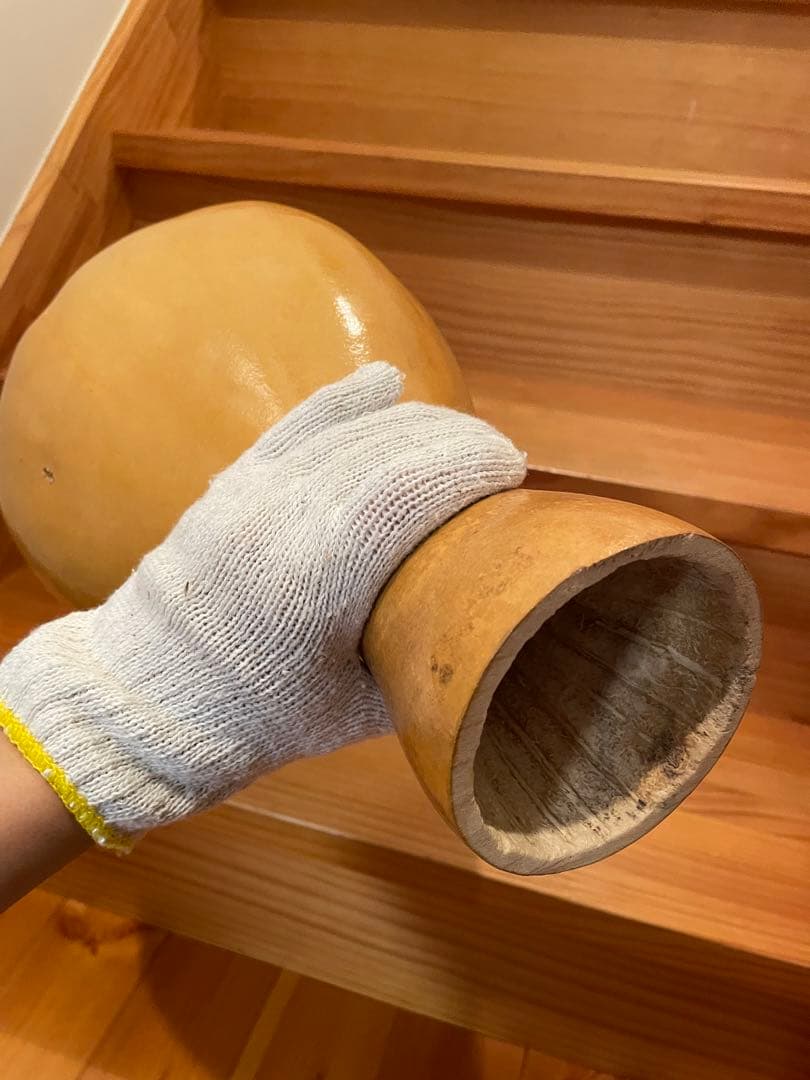 イプ　訳あり　コーティング済