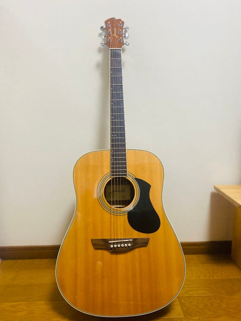 James J-300D NAT アコースティックギター