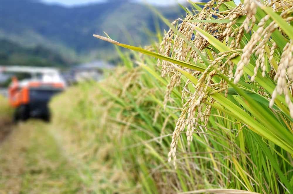 R７年産.★ひろしまの米い～ね！★ヒノヒカリ10kg（精米後9㎏）