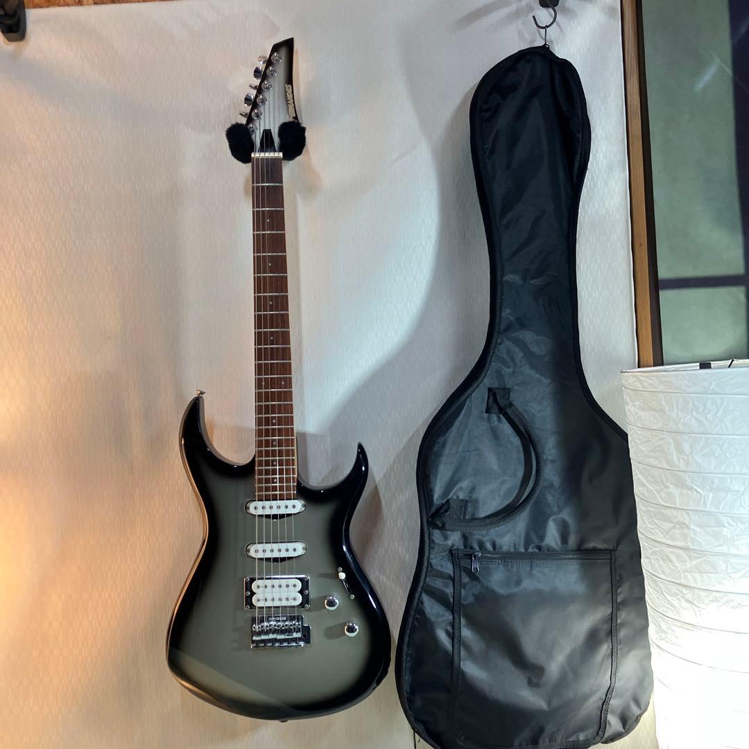 初心者向けフェルナンデスエレキギター！ソフトケース付きます。