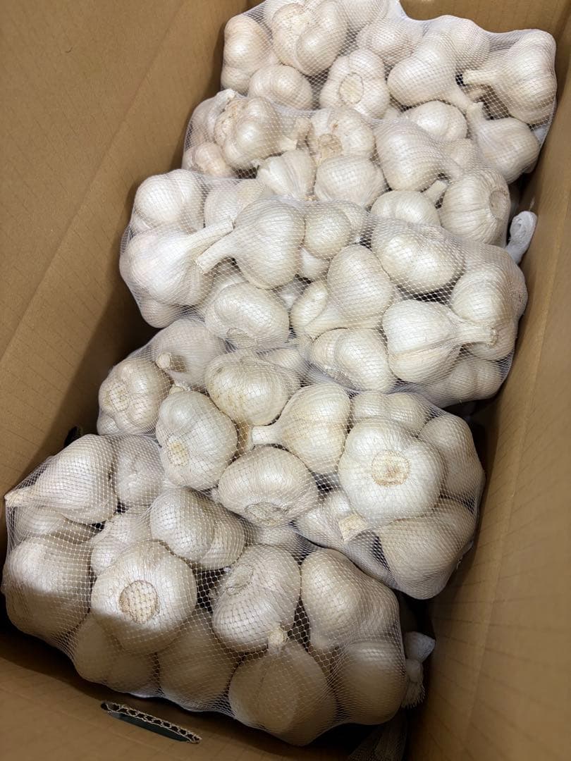 青森県産 福地ホワイト六片 にんにく Ｓ 玉 １０ｋｇ