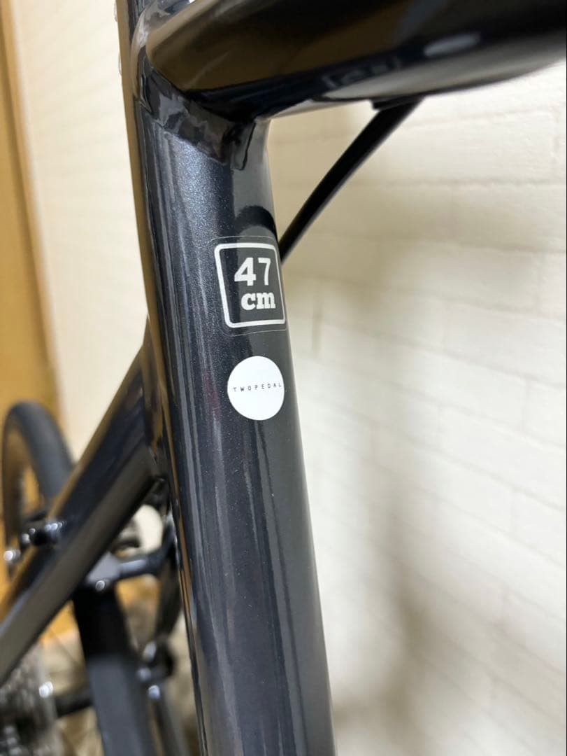 ミニベロロードバイク　turn surge ターンサージュ フェージングメタル