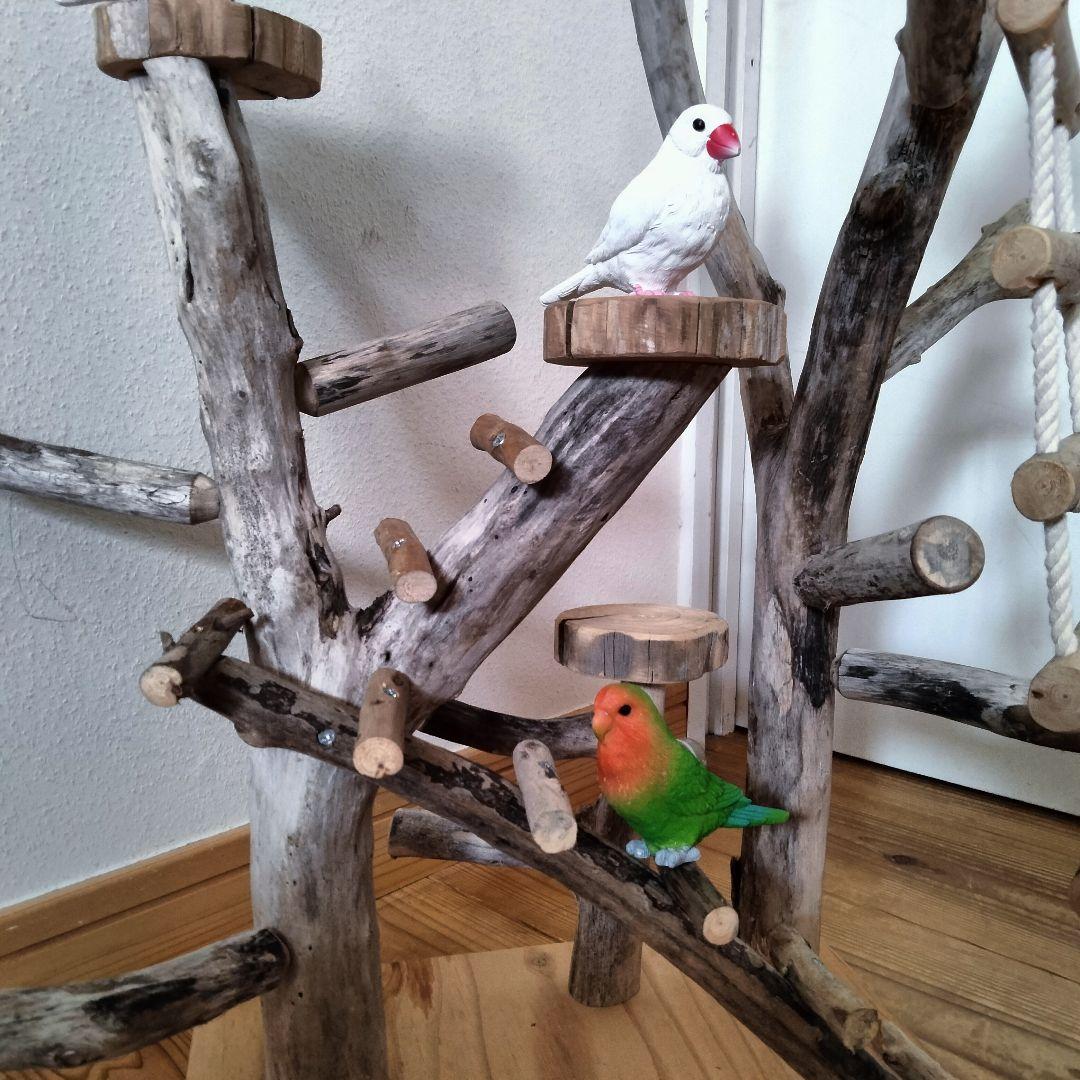 バードアスレチックジム ㊸ 天然木 自然木 流木 止まり木 インコ おもちゃ