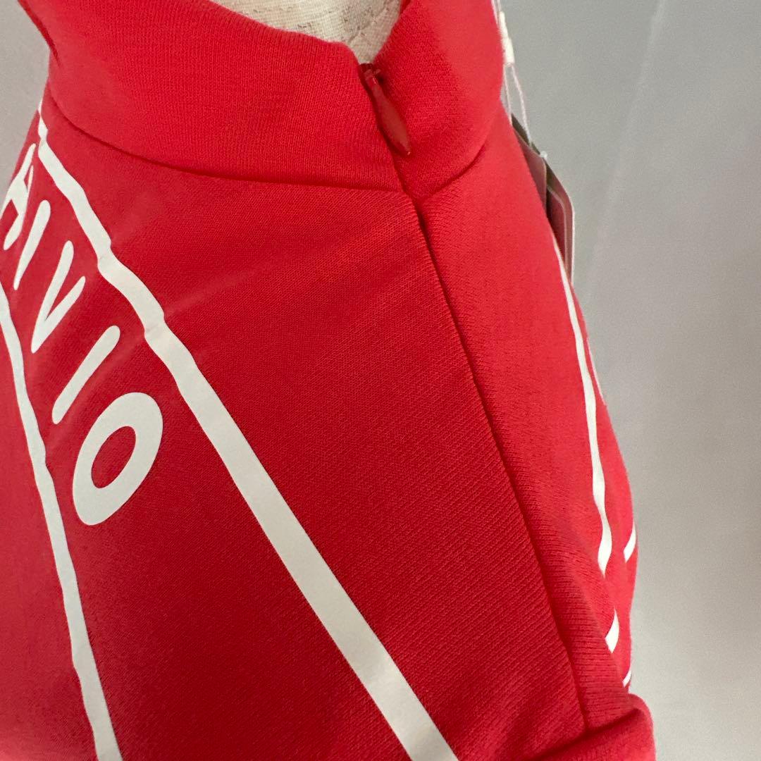 ARCHIVIO メッシュ長袖トップスとスカートのセットアップ　スカートのみ