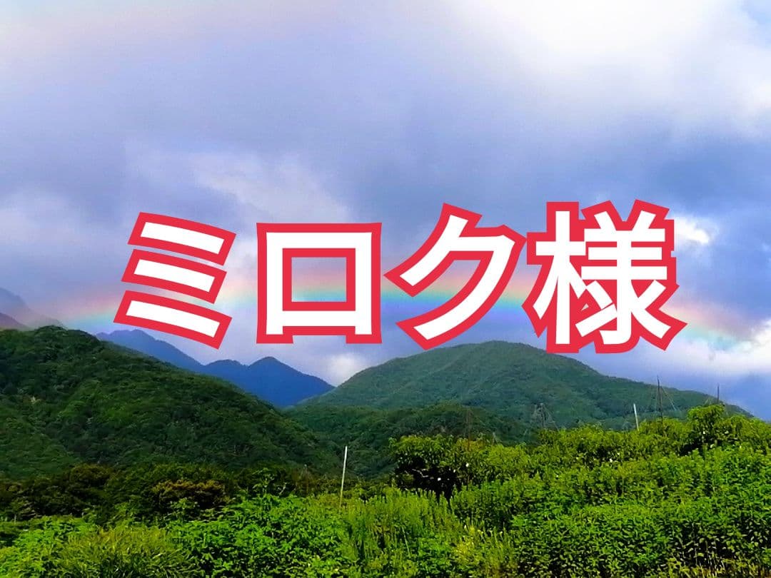 ミロク様　山梨県産　絶品とろとろ枯露柿　甲州百目　干し柿・あんぽ柿　2kg