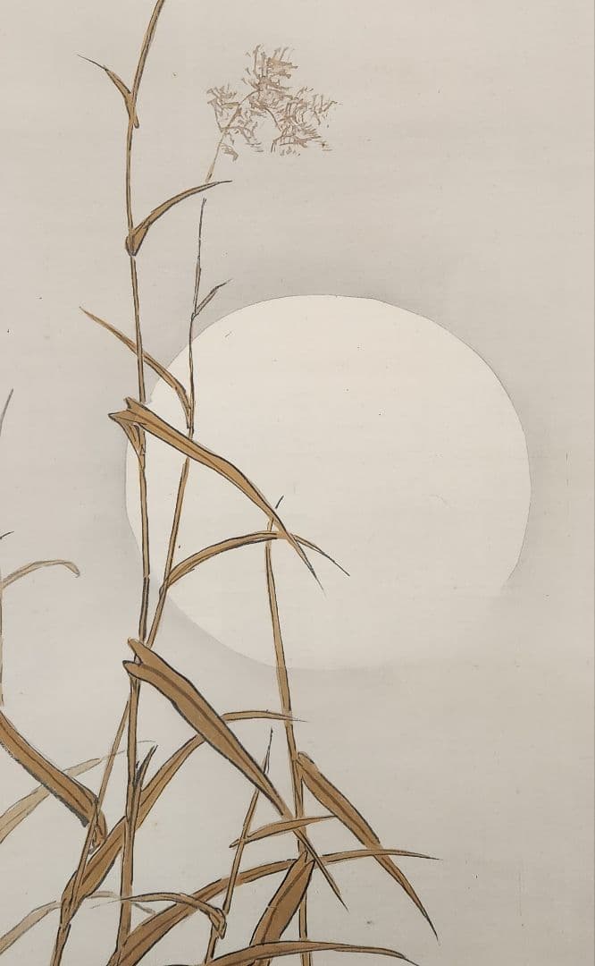 【月下鴨図】団藍舟 2671 満月カモ 共箱　掛け軸 肉筆