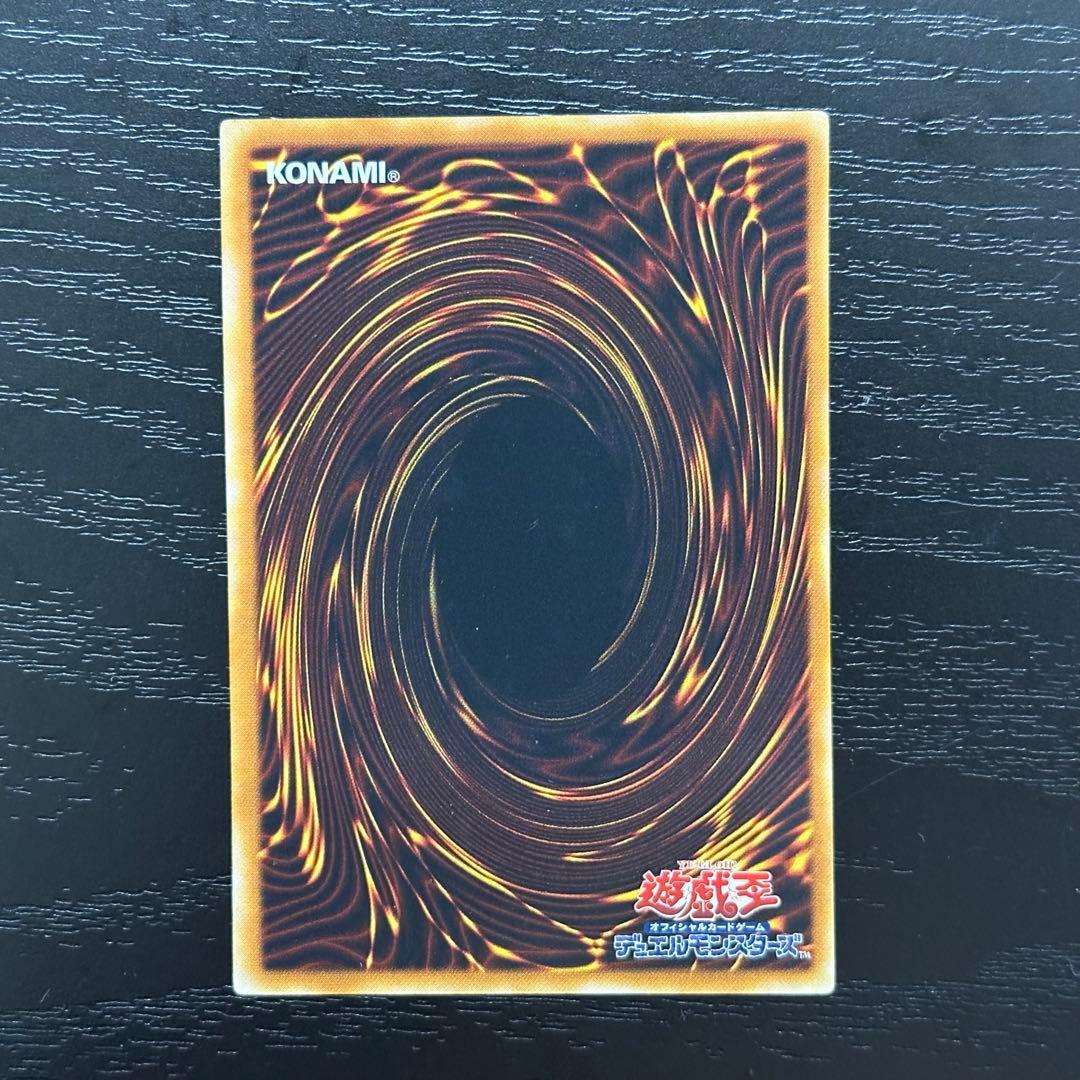 遊戯王 真紅眼の闇竜 レリーフ