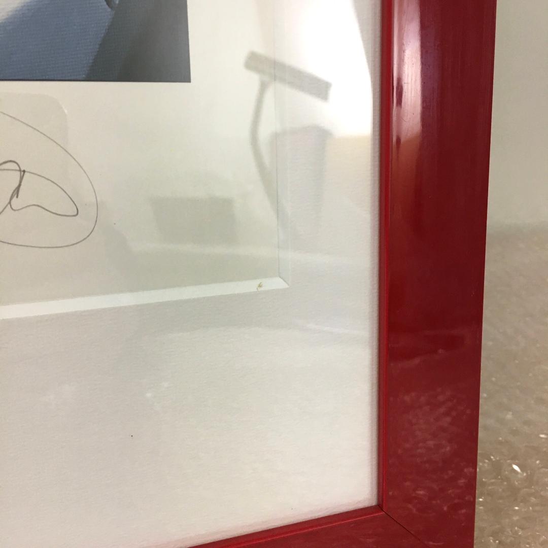 ○超巨大ポスター アイルトン・セナ ポスター THE LAST VICTORY