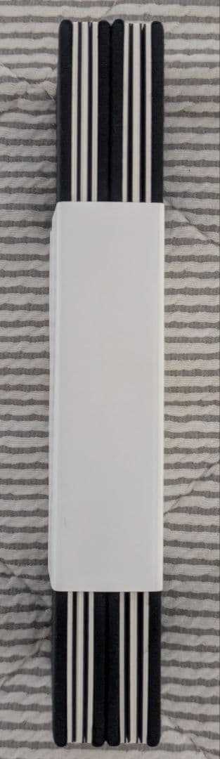 井上雄彦　親鸞　ミニ屏風