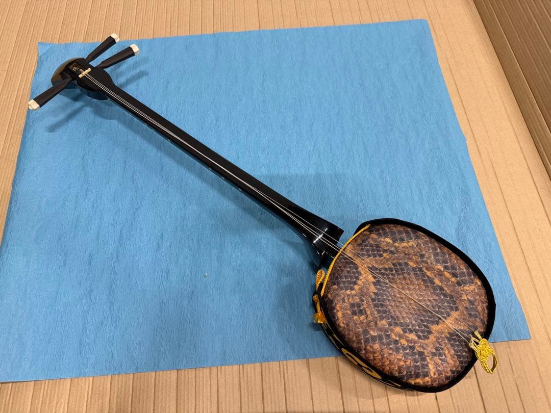 ケース付き 沖縄三線 本体 ヘビ皮デザイン 専用ケース付き