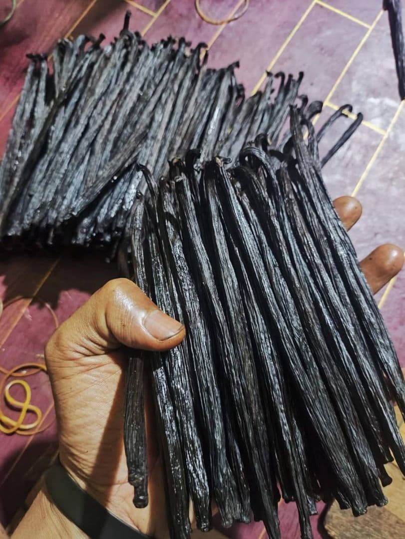 パプアニューギニア産 オーガニック バニラビーンズ 1ｋｇ