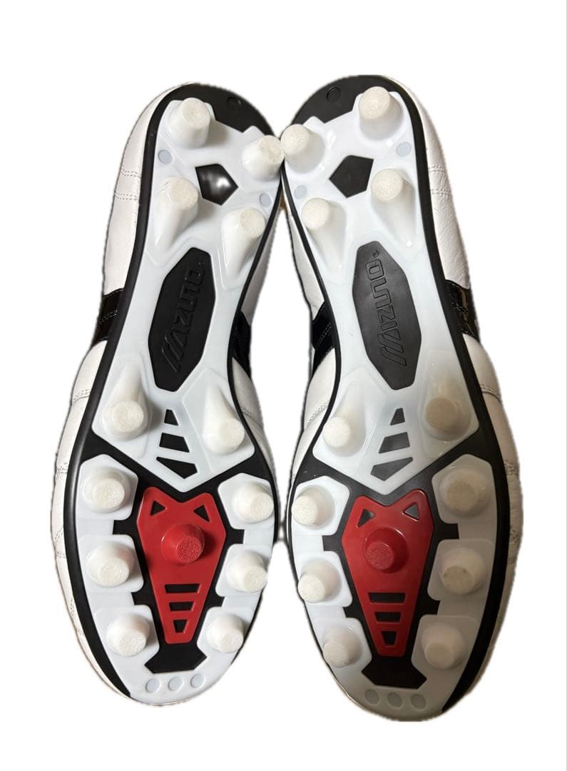 Mizuno モレリア　クロスステッチ