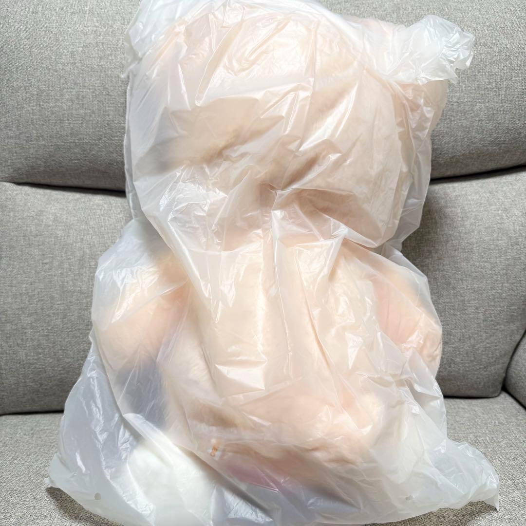 StrayKids SKZOO PLUSH テディベアver. パピーム