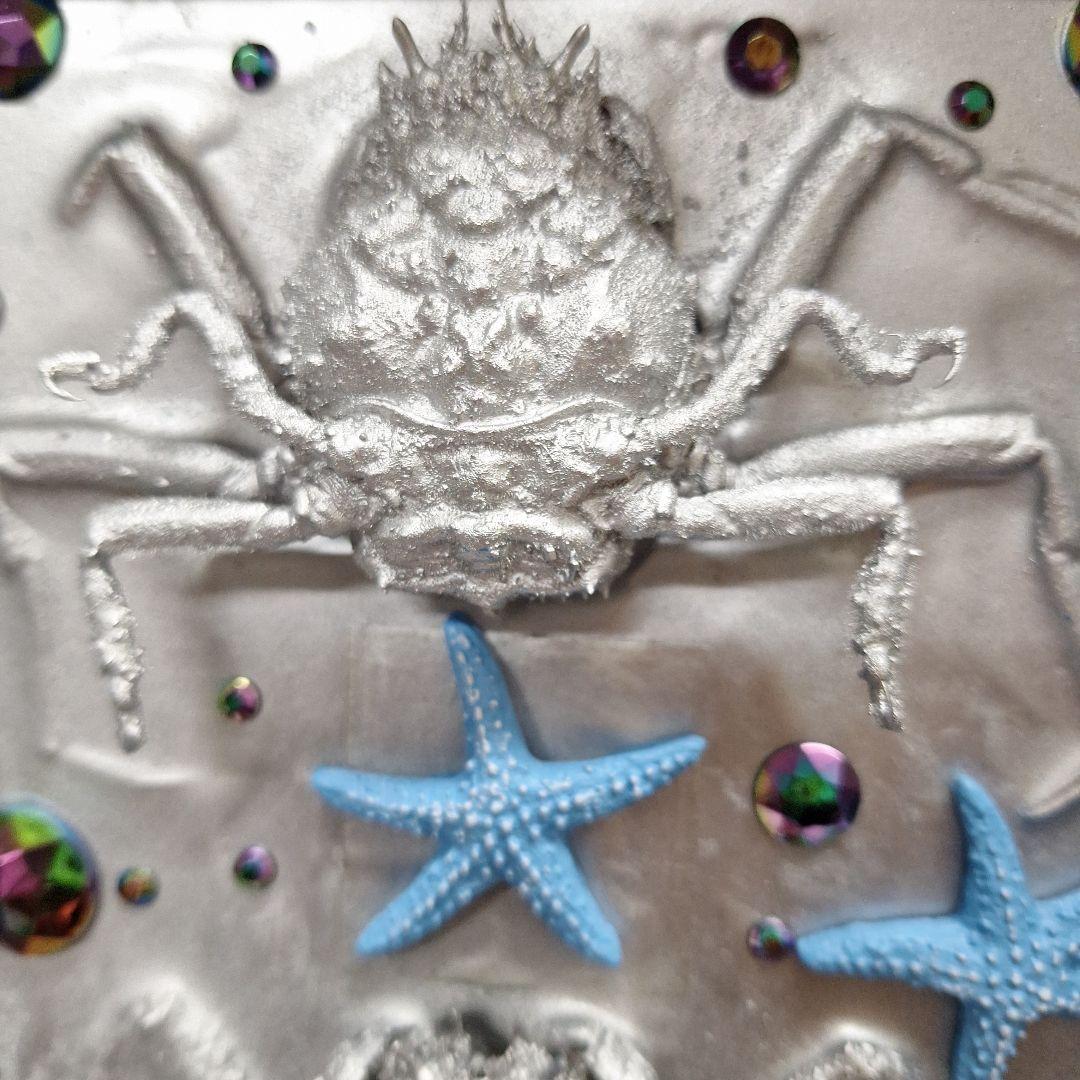 平家怨霊人面蟹稀少レア平家蟹鬼面蟹ペア二点凹凸リアル立体標本飾り置物コレクション